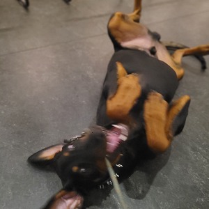 Fundraising Page: Jason Bourne